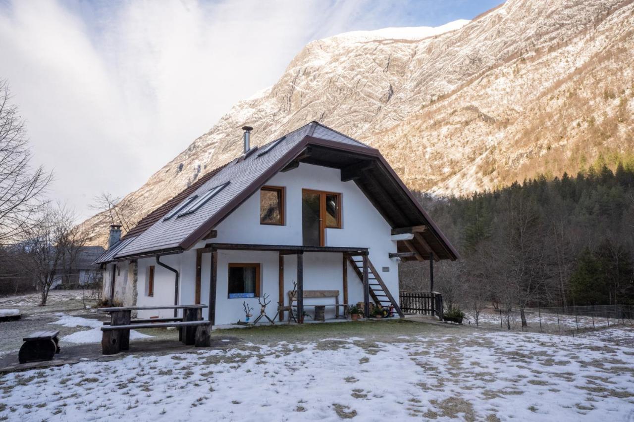 Bovec Home At Three Samoyeds Соча Экстерьер фото