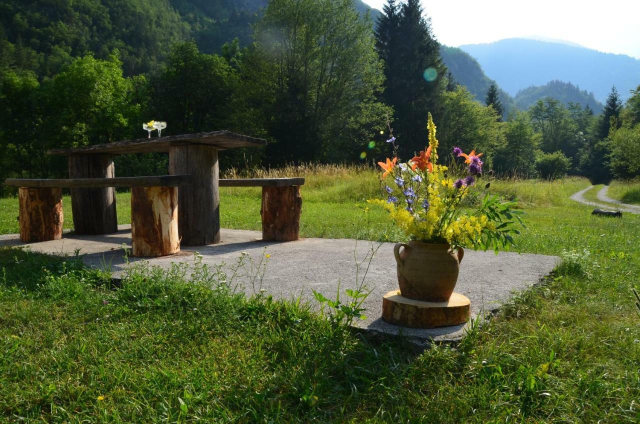 Bovec Home At Three Samoyeds Соча Экстерьер фото