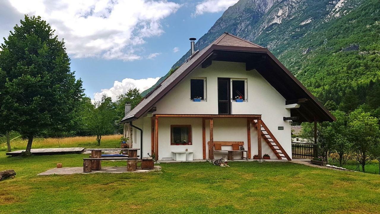 Bovec Home At Three Samoyeds Соча Экстерьер фото